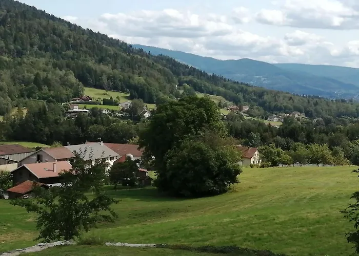 Confortable A Avec Jardin