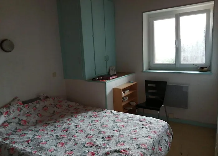 Confortable A Avec Jardin 公寓 *